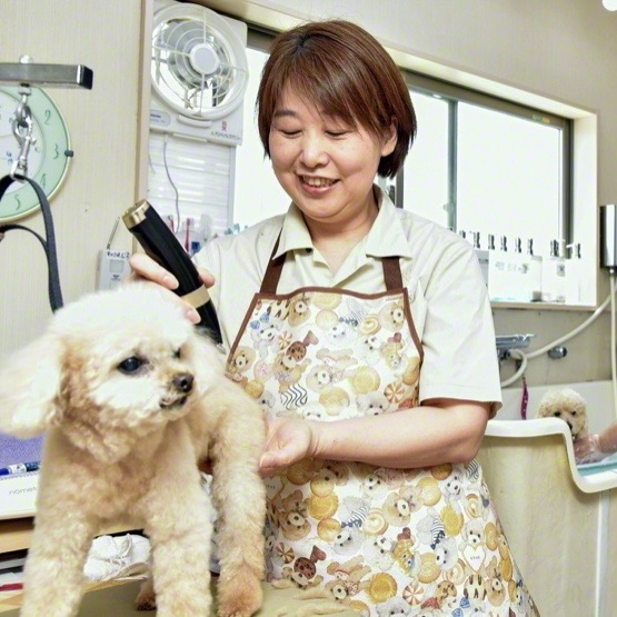 橋本 律子